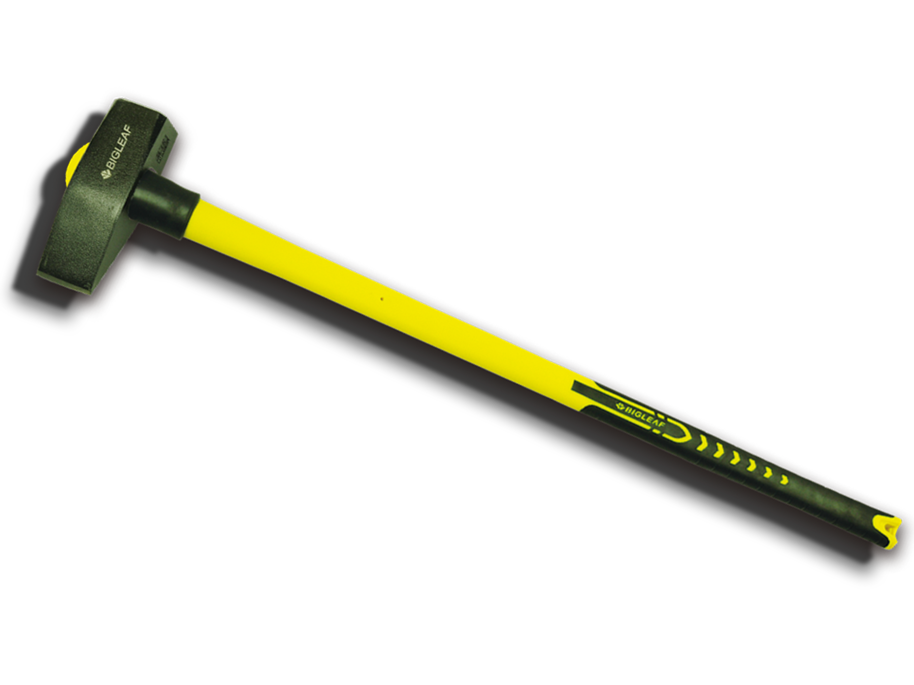 N01Y-1